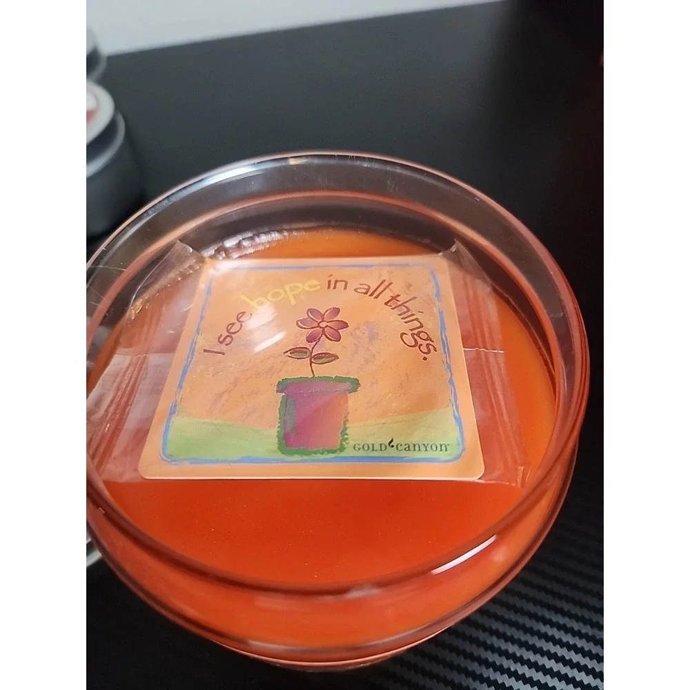 New Gold Canyon Candle Large 18oz 